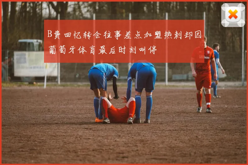 B费回忆转会往事差点加盟热刺却因葡萄牙体育最后时刻叫停